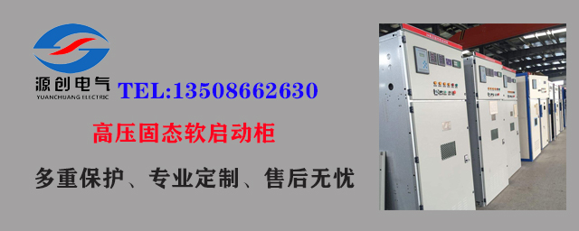 高壓固態(tài)軟啟動柜2 高壓固態(tài)軟啟動柜2